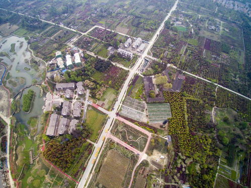 四川一大型軍工廠,曾占地約1200畝,產(chǎn)值超一億,現(xiàn)改建為廉租房